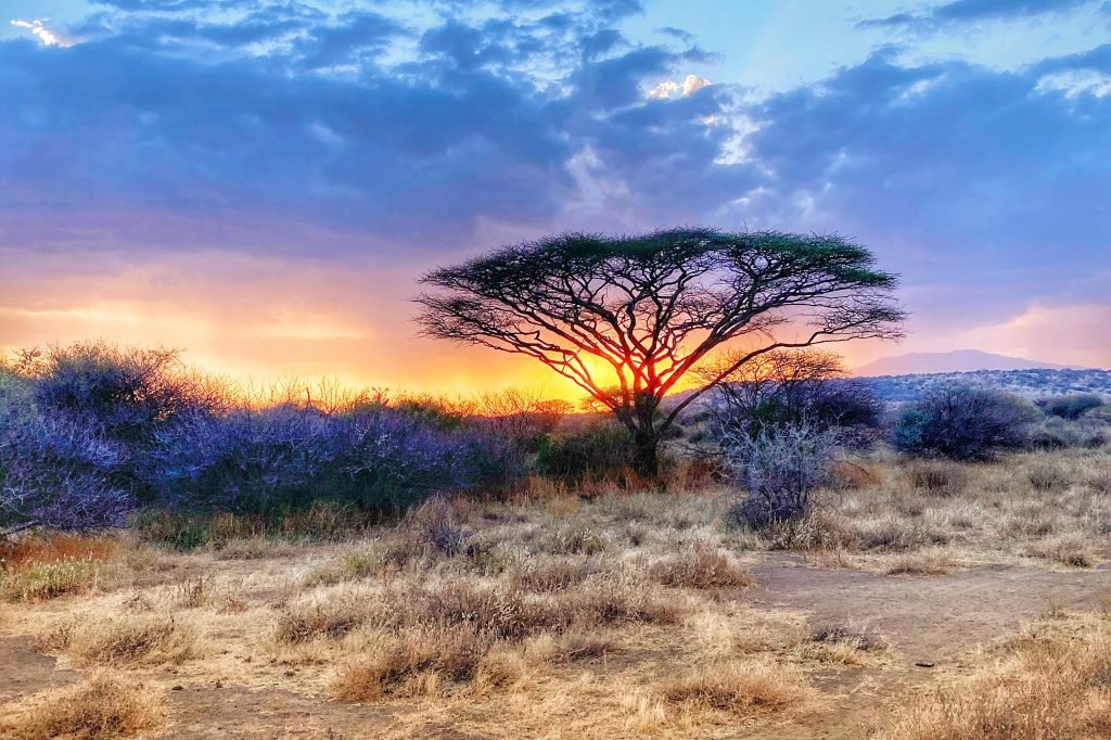 East African sunsets are unforgettable.